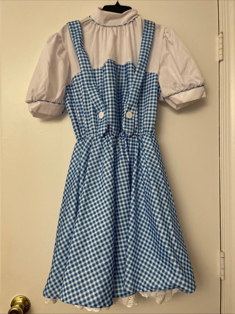 Dorothy Wizard of Oz Women's Costume Dress Blue, Size Large